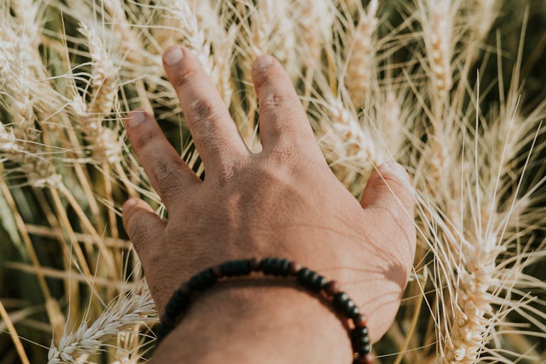 A hand adorned with a bracelet gently touches golden wheat in a sunlit field.