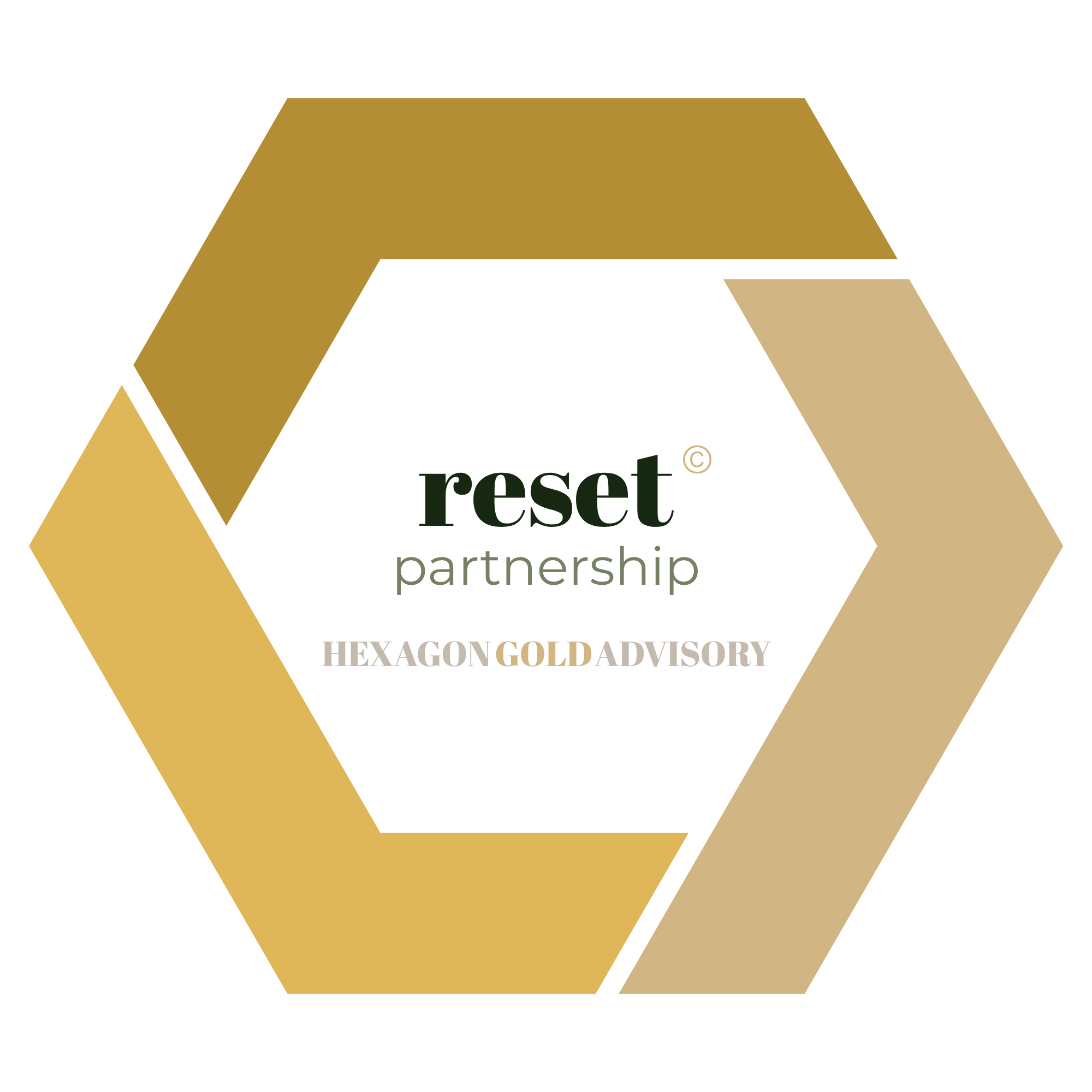 RESET Partnership